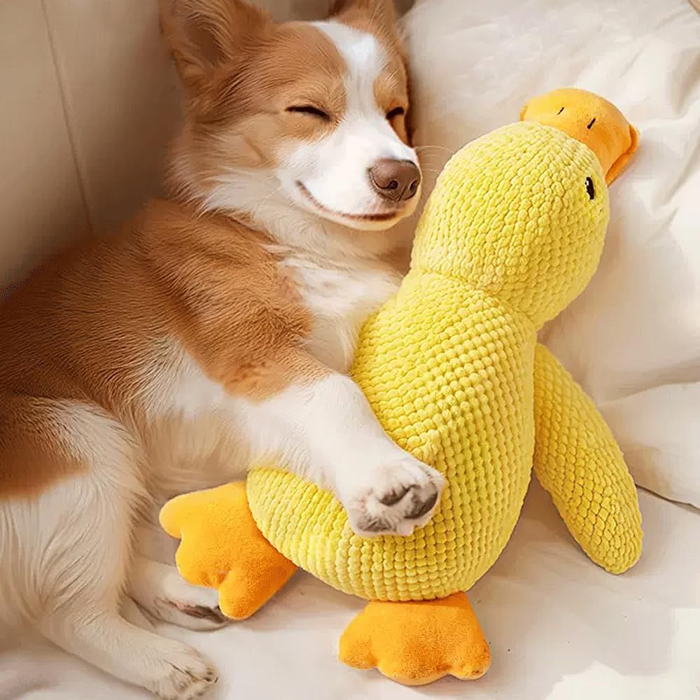 Jouet En Peluche Pour