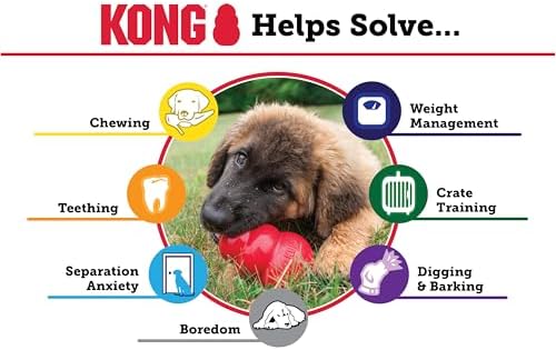 Vue 6 de Kong Extreme Dog Toy