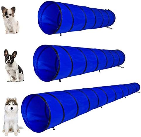 Vue 6 de Lionto Tunnel Dexterieur Robuste