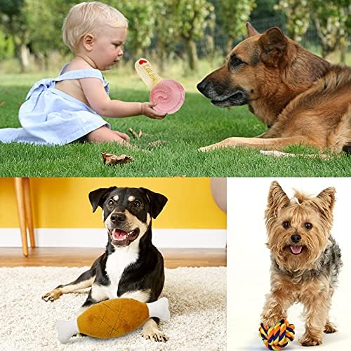 Vue 6 de Jouet Pour Chiensmaisitoo Ensemble