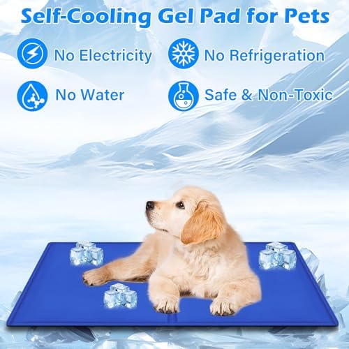 Vue 4 de Cioxsoio Tapis Rafraichissant Chien