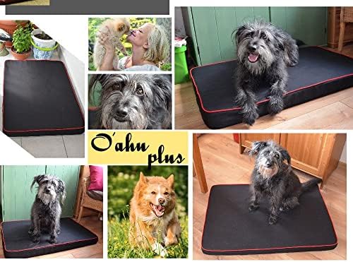 Vue 4 de Fortisline Coussin Pour Chien