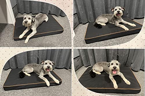 Vue 6 de Fortisline Coussin Pour Chien