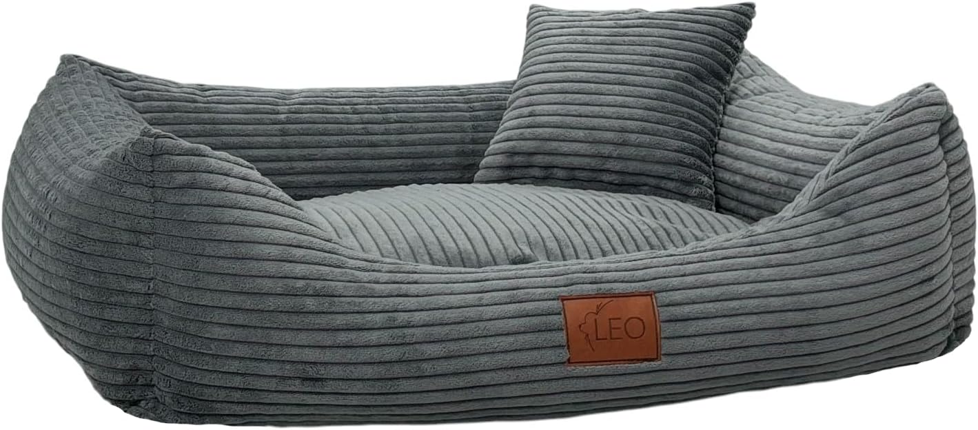 Leodog Lit Pour Chien