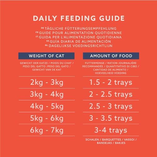 Vue 5 de By Amazon Lot De