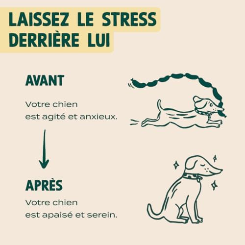 Vue 4 de Franklin Complement Alimentaire Pour