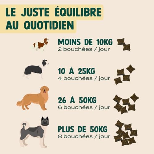 Vue 5 de Franklin Complement Alimentaire Pour