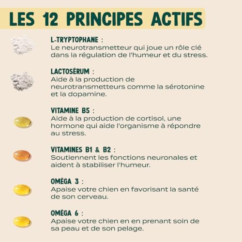 Vue 6 de Franklin Complement Alimentaire Pour