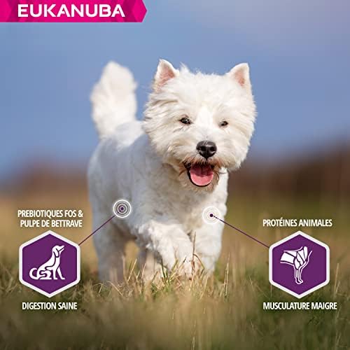 Vue 4 de Eukanuba Chien Adulte Daily
