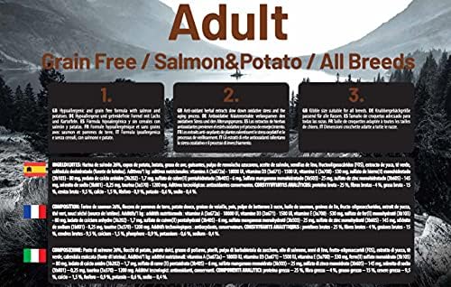 Vue 4 de The Hunger Of The