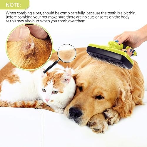 Vue 6 de Pecute Brosse Chiens Et