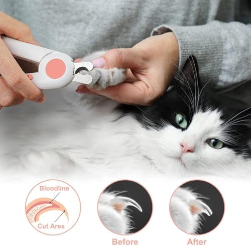 Vue 7 de Adiwo Coupeongles Chien Chat