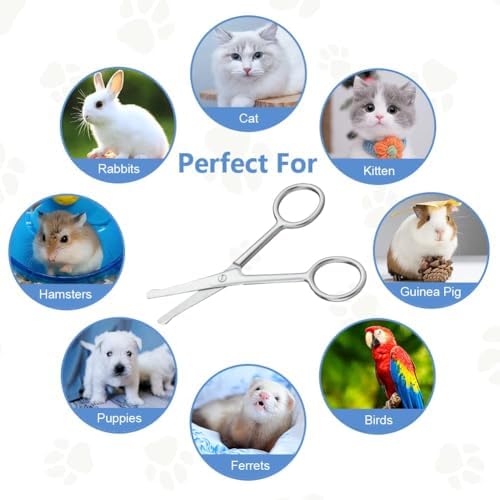 Vue 6 de Adiwo Ciseaux Toilettage Chien