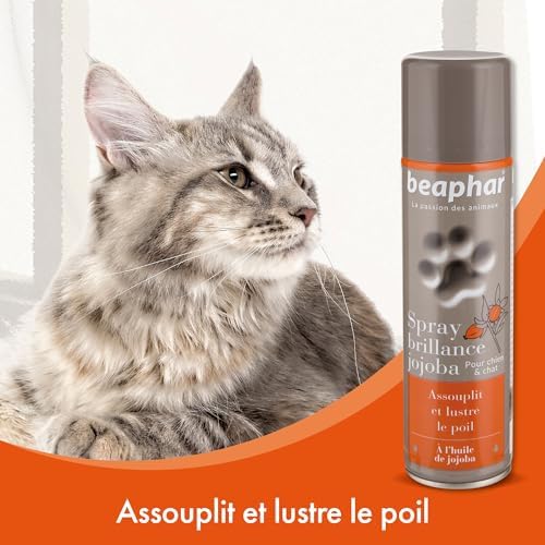 Vue 3 de Beaphar Spray Premium Brillance