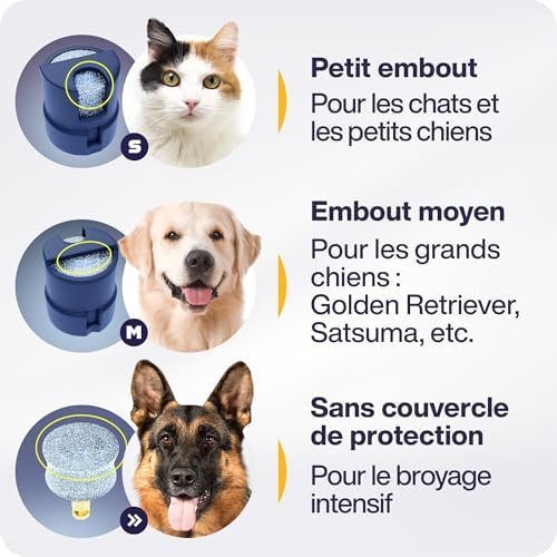 Vue 6 de Petproved Lime Pour Chien
