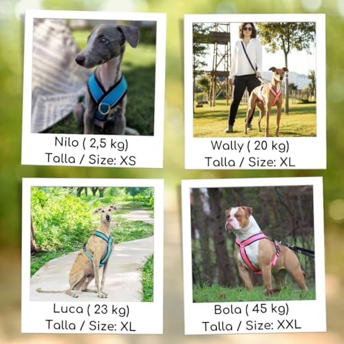 Vue 2 de Harnais Reflechissant Antitraction En