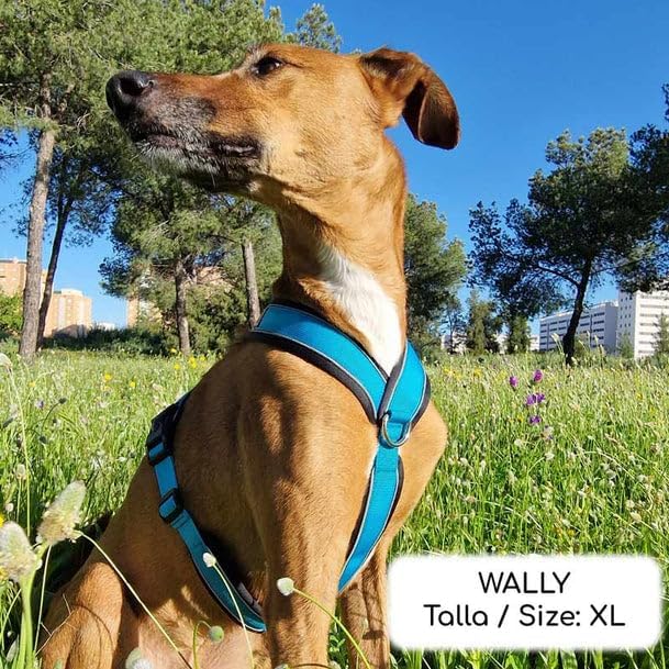 Vue 5 de Harnais Reflechissant Antitraction En