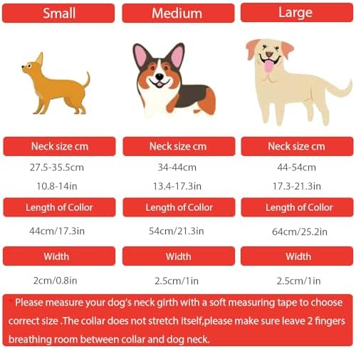 Vue 6 de Collier Reglable En Cuir