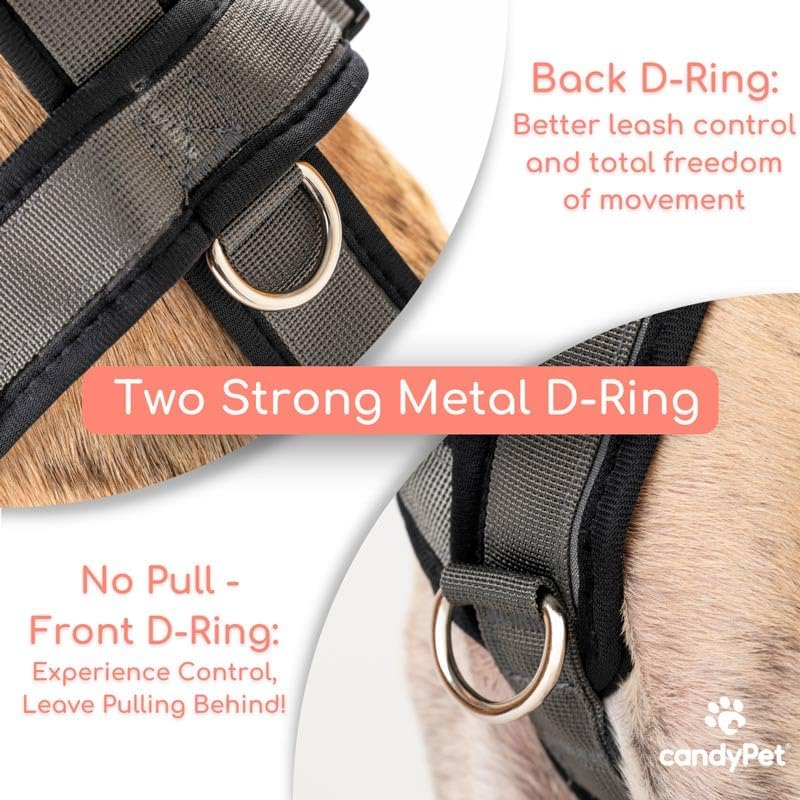 Vue 7 de Harnais Reflechissant Antitraction En