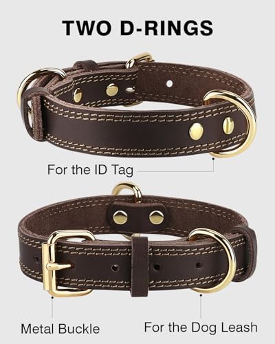 Vue 4 de Joytale Collier Pour Chien