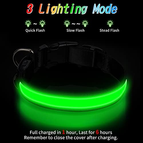 Vue 4 de Tenxsnug Collier Lumineux Chien
