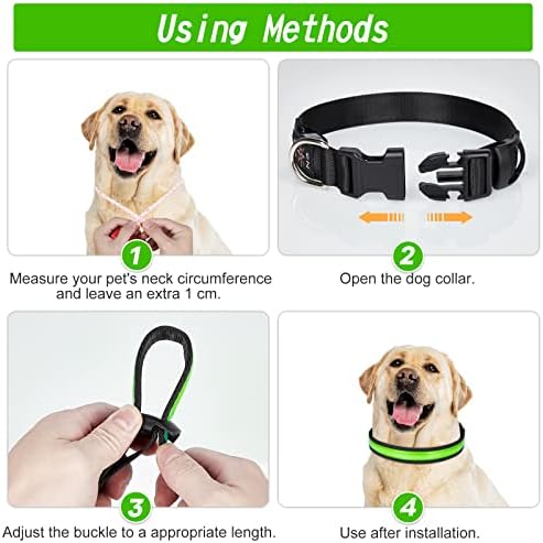 Vue 6 de Tenxsnug Collier Lumineux Chien
