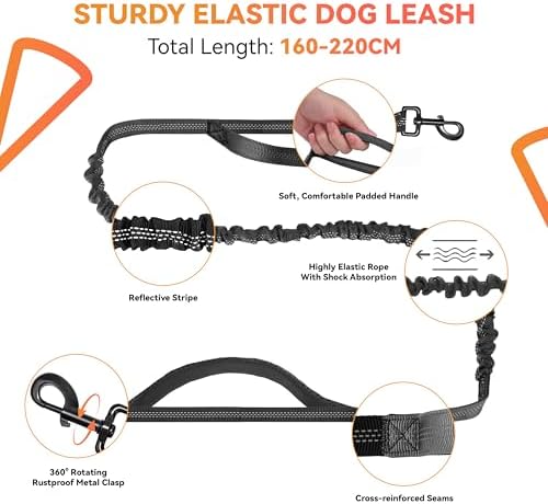 Vue 4 de Petcooz Laisse Canicross Chien