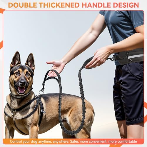 Vue 6 de Petcooz Laisse Canicross Chien