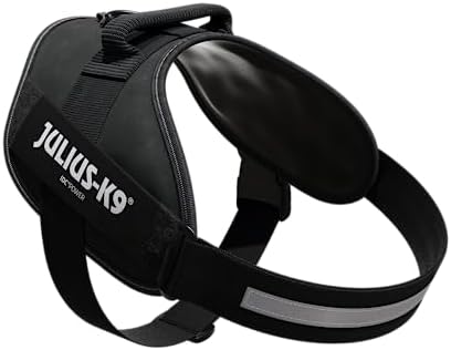 Vue 2 de Julius Harnais Idc