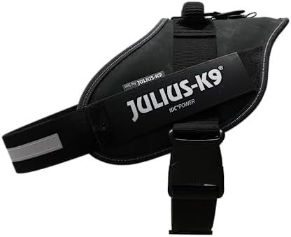 Vue 3 de Julius Harnais Idc