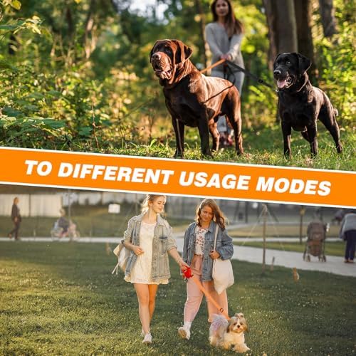 Vue 5 de Ahqizfx Laisse Double Pour