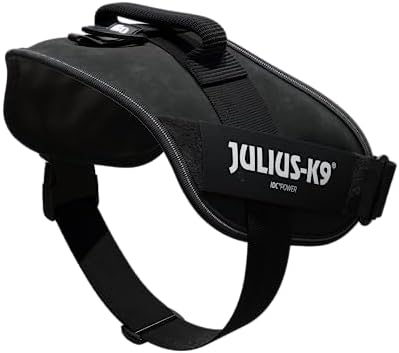 Vue 4 de Julius Harnais Idc