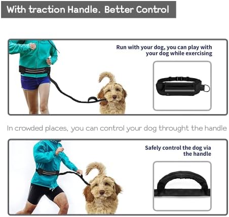 Vue 5 de Edipets Laisse Canicross Main