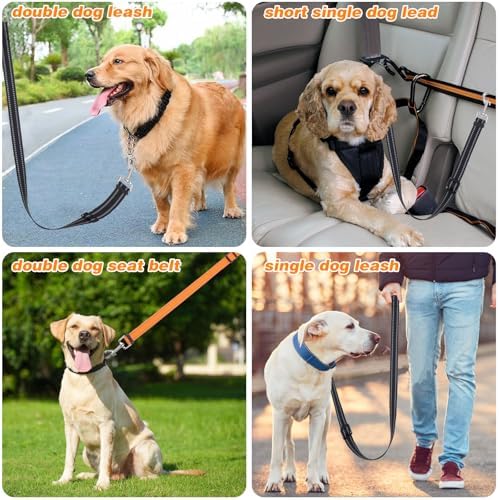 Vue 7 de Ahqizfx Laisse Double Pour