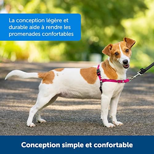 Vue 4 de Petsafe Harnais Easy Walk