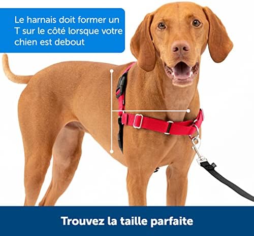 Vue 5 de Petsafe Harnais Easy Walk