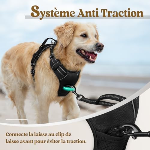 Vue 5 de Rabbitgoo Harnais Chien Anti