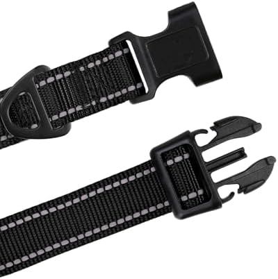 Vue 4 de Tagme Collier Pour Chien