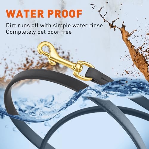 Vue 4 de Viper Laisse De Suivi