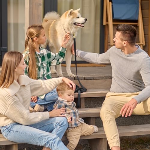 Vue 5 de Viper Laisse De Suivi