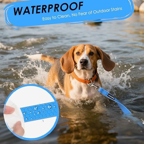 Vue 6 de Looxmeer Longe Pour Chien