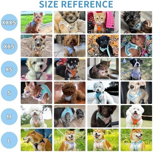 Vue 4 de Aiitle Ensemble Harnais Et