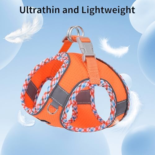 Vue 5 de Aiitle Ensemble Harnais Et