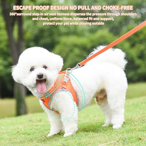 Vue 6 de Aiitle Ensemble Harnais Et