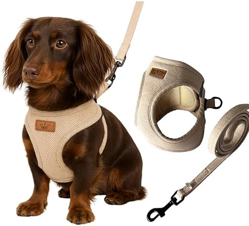 Vue 4 de Ensemble Harnais Et Laisse