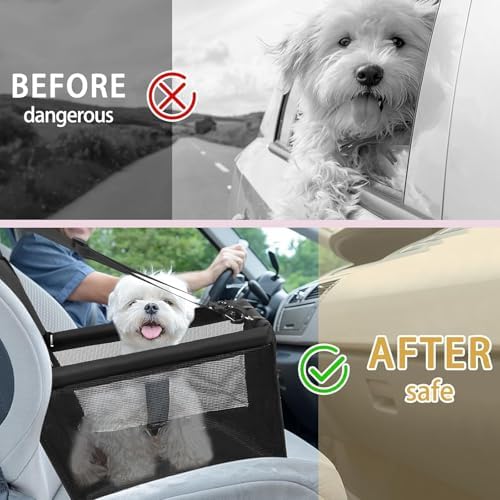 Vue 6 de Cimoybai Siege Auto Pour