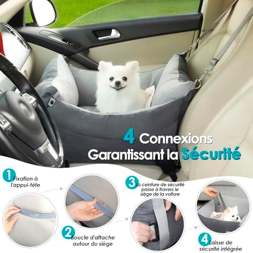 Vue 5 de Siege Auto Chien Voiture