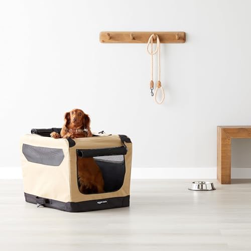 Vue 6 de Amazon Basics Niche De