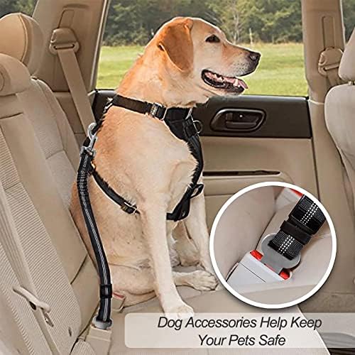 Vue 5 de Redamancy Ceinture Chien Voiture