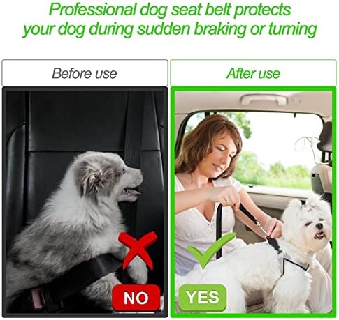 Vue 6 de Redamancy Ceinture Chien Voiture